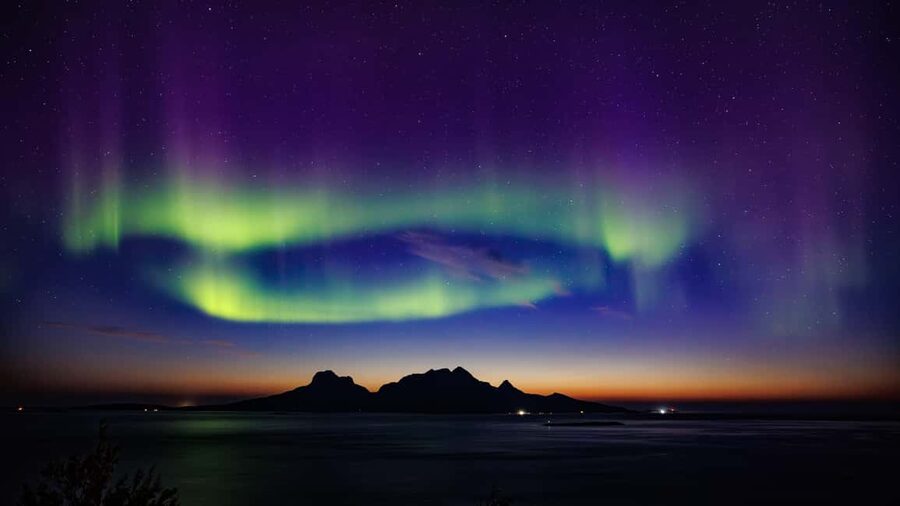 Bodø: Northern Lights safari - Key Things to Know Before You Go
