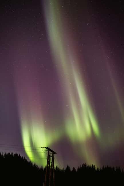 Bodø: Northern Lights safari - What to Bring: Dressing for the Outdoors, Not for Photos