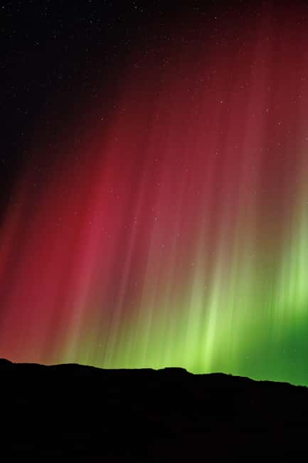 Bodø: Northern Lights safari - Should You Book It: My Straight Answer