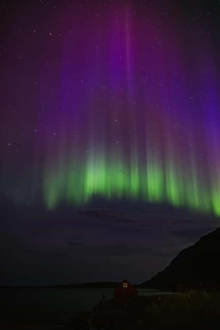 Bodø: Northern Lights safari - Forecast Hunting With a Guide: Choosing the Best Spots in Real Time