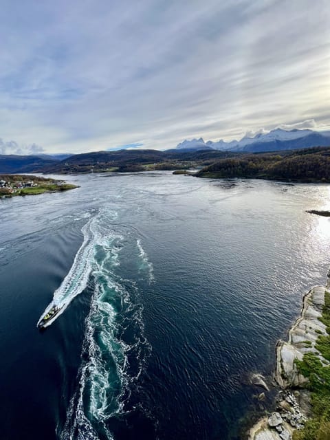 Bodø: Saltstraumen RIB Safari - Saltstraumen and Sundstraumen, Watching the Water Do Its Thing