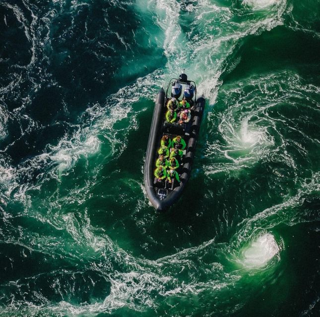 Bodø: Saltstraumen Sea Eagle Trip by RIB - Key highlights to look forward to