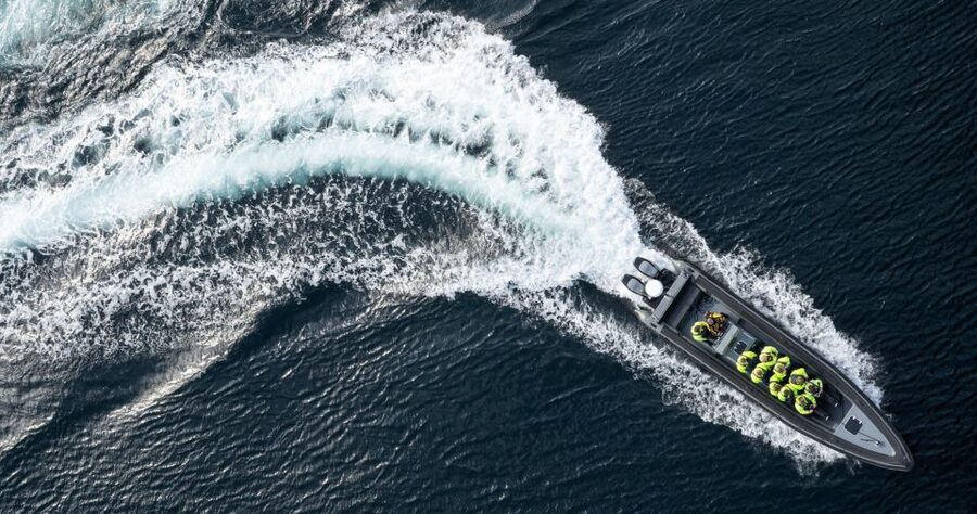 Bodø: Saltstraumen Sea Eagle Trip by RIB - RIB speed, eagles, and Saltstraumen in one tight 2-hour window