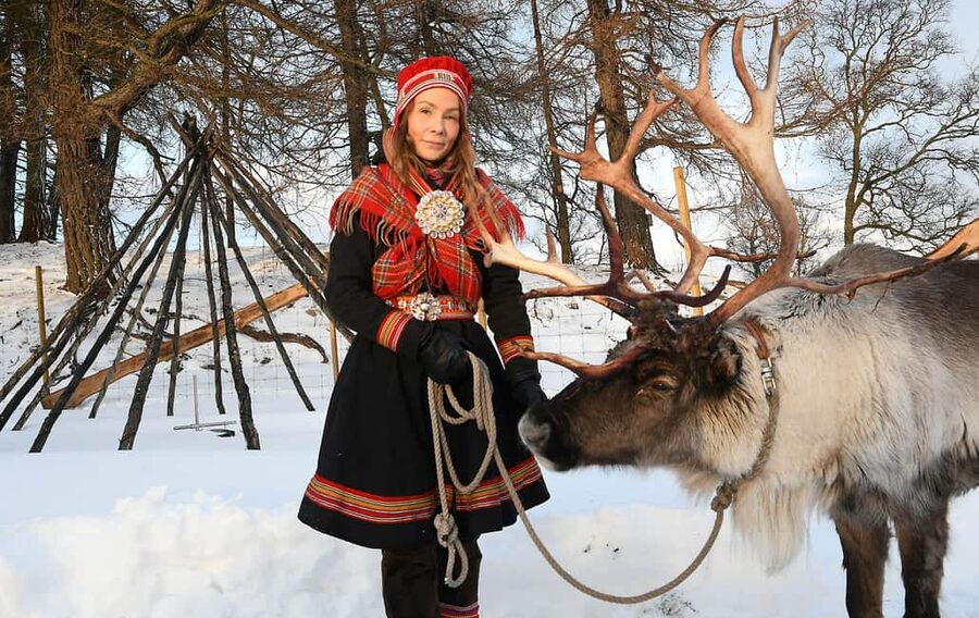 Bodø: Sami Experience in Bodø - Reindeer up close: the real thrill, with a quick window