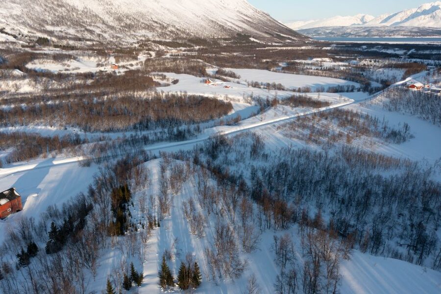 Breivikeidet: Cross-Country Skiing & Husky Visit - Husky yard time: meet around 80 dogs up close