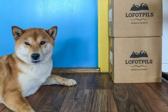 Brewery Tour - Lofotpils craft brewery in Svolvær: why it’s such a focused Lofoten experience