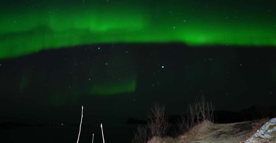 Chase the Magic of the Northern Lights in Tromsø Norway - Meeting in Tromsø: Library Pickup, Timing, and How the Night Starts