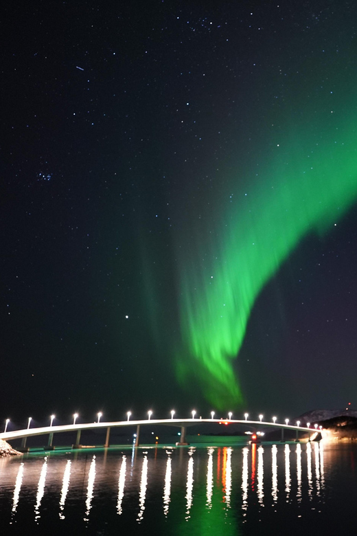 Chase the Magic of the Northern Lights in Tromsø Norway - Thermal Suits, Warm Drinks, and the Comfort Strategy That Makes Aurora Watching Work