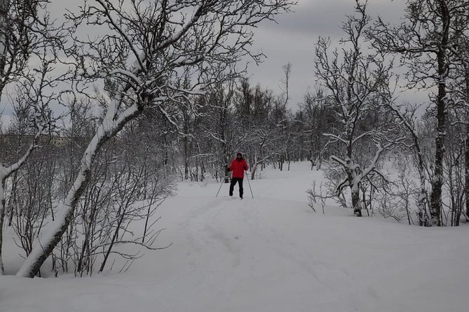 Cross-Country Ski Lesson for Beginners in Tromso - Price and Value: What You Pay For, and Why It Makes Sense