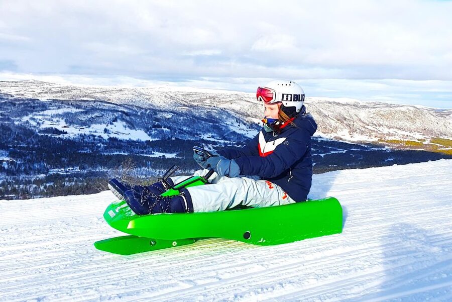 Dagali: 2-Hour Racing Toboggan Adventure - Should You Book Dagali Fjellpark’s 2-Hour Racing Toboggan?