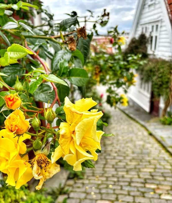 Discover Private+ Stavanger Guided City Tour - Key highlights to know before you go