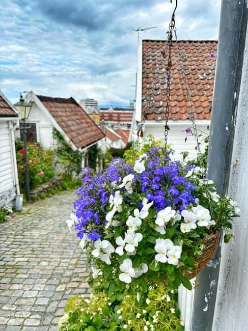 Discover Private+ Stavanger Guided City Tour - A private 2-hour walk that connects Stavanger’s streets to Viking stories