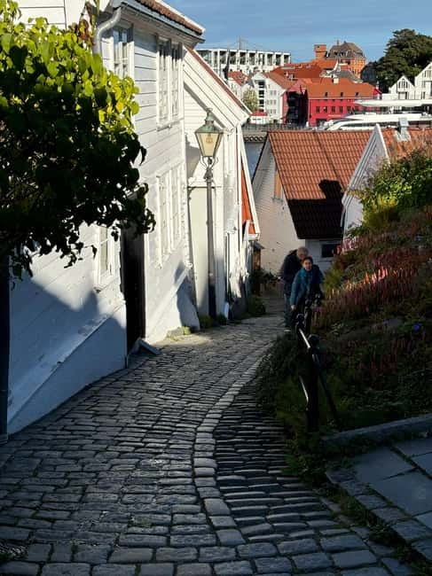 Discover Private+ Stavanger Guided City Tour - Fargegata: your quick photo and street-level culture stop