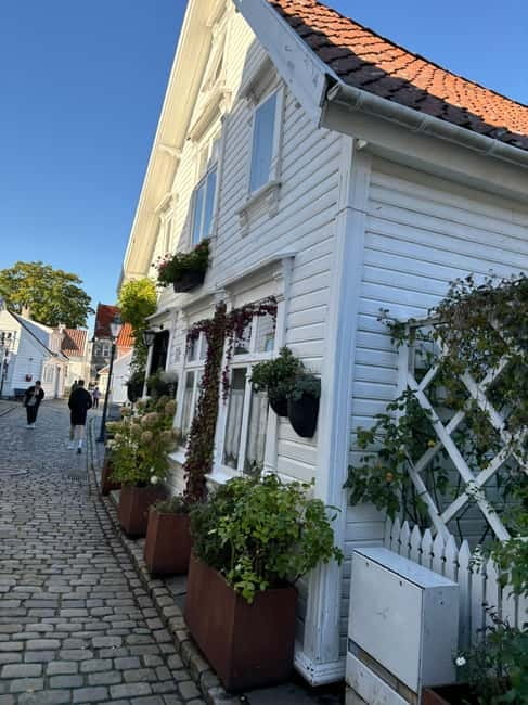 Discover Private+ Stavanger Guided City Tour - Vågen (Stavanger): wrap up with the harbor-style views