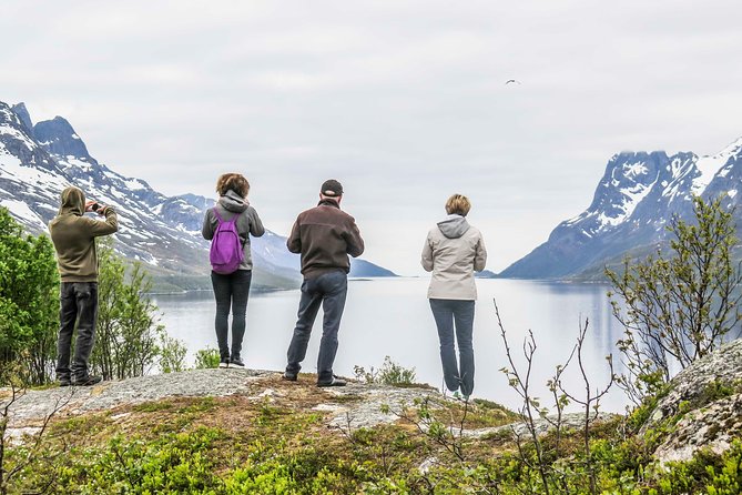 Discover the Fjords of Kvaloya - a roadtrip along fjords and fishing villages - Why Kvaløya fjords feel like a morning well spent