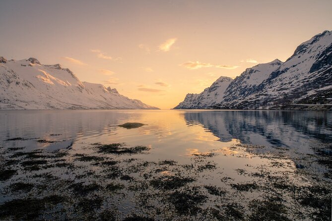 Discover the Fjords of Kvaloya - a roadtrip along fjords and fishing villages - Kvaløya Island photo stops: fjords, villages, and wildlife spotting