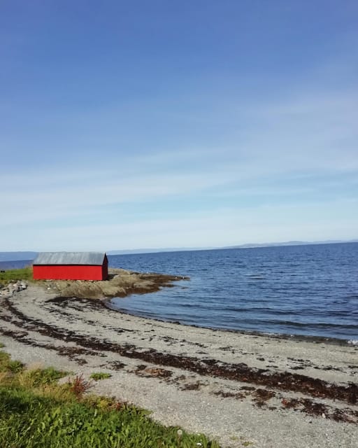 Discovery hike along the Trondheimsfjord - Key points you should know before you go