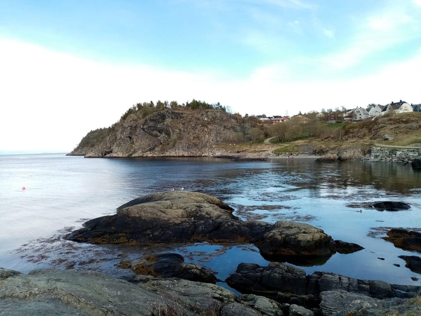 Discovery hike along the Trondheimsfjord - Why this Trondheimsfjord hike feels more like daily life than sightseeing