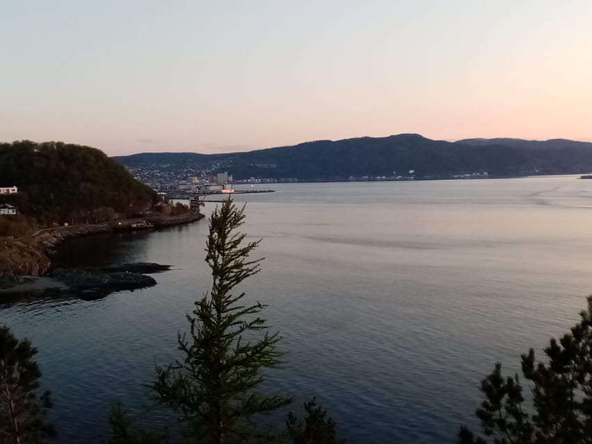 Discovery hike along the Trondheimsfjord - Devlebukta: the viewpoint payoff and the nature angle
