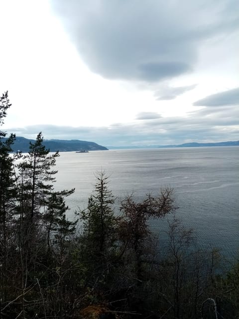 Discovery hike along the Trondheimsfjord - The guide experience: Gaël’s calm, expert storytelling in French or English
