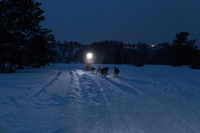 Dog Sled Tour and Husky Cuddles - Where the tour starts at 9:00, and how that shapes your day