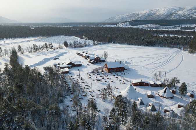 Dog Sled Tour and Husky Cuddles - Price and value: what $431.59 buys you in Alta