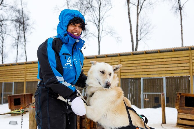 Dog Sledding: A Self-Drive Arctic Experience from Tromsø - The 1.5-hour run: what the track feels like and how to stay confident