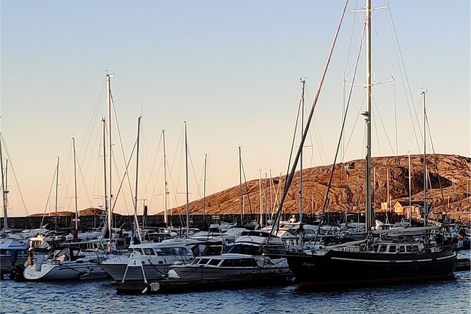 Downtown Bodø: A Self-Guided Walking Tour in Northern Norway - The Practical Stuff That Makes or Breaks the Walk