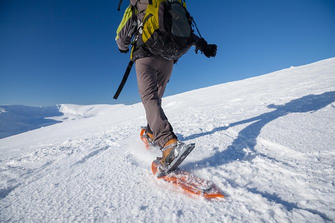 Eco friendly snowshoeing in Scenic Landscape - How Eco-Friendly Snowshoeing Plays Out in Tromso (Without the Stress)