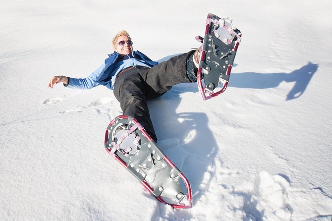 Eco friendly snowshoeing in Scenic Landscape - Polaria First: Sea Life That Makes the Arctic Stops Feel Connected