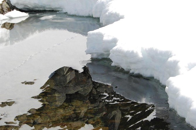 Eco friendly snowshoeing in Scenic Landscape - Price and Value: Is $170.84 Worth a 3-Hour Loop?
