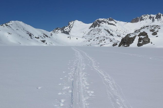Eco friendly snowshoeing in Scenic Landscape - Riding the Arctic TeslaX: Big Views, Small Group Feel