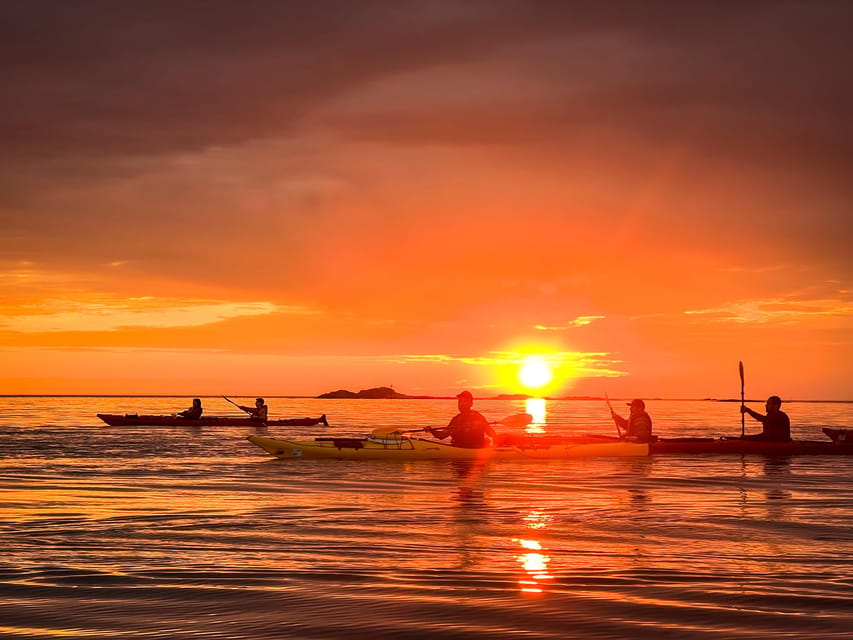 Eggum: Lofoten Islands Midnight Sun Kayak Tour - What you’re paying for: value at $99 per person