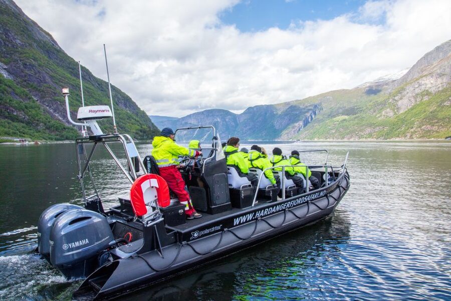 Eidfjord: 1-Hour Fjord RIB Tour - Wildlife spotting: seals, seabirds, and eagles