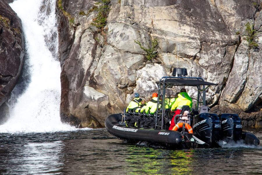 Eidfjord: 1-Hour Fjord RIB Tour - Goats on the shoreline, up close