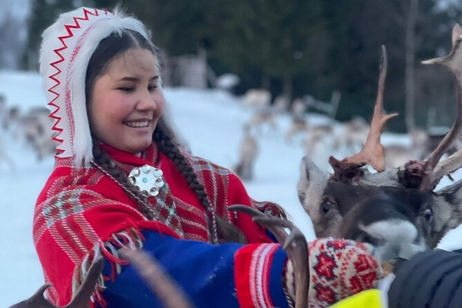 Exclusive Reindeers Experience in small groups, Tromso - Feeding reindeer and trying the antler lasso move