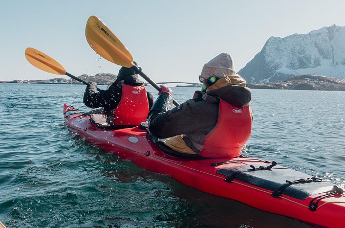 Explore Reinefjord by kayak (3 hours) - The Open-Sea Taste: Feeling the Fjord, Without Feeling Unsafe