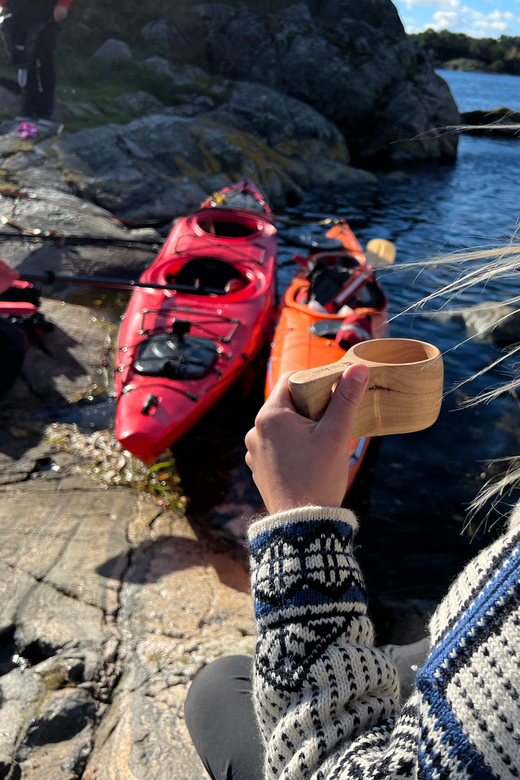 Færvik: Raet National Park Sea Kayaking Trip - Key things I’d tell a friend before you go