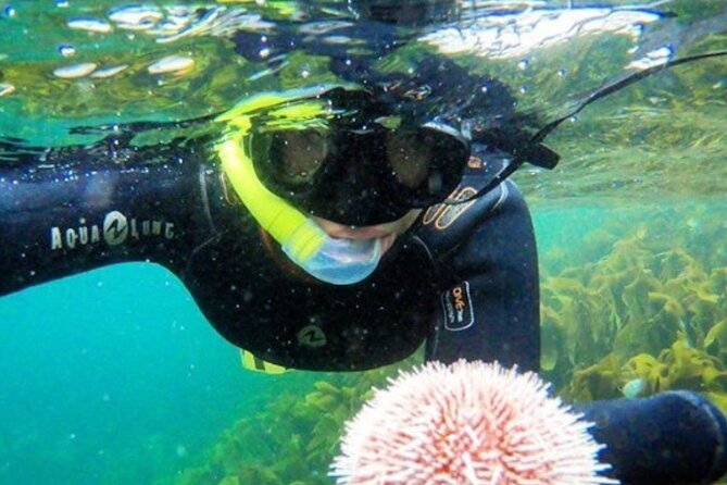 Family Snorkeling Tour - Key Highlights You’ll Feel Right Away