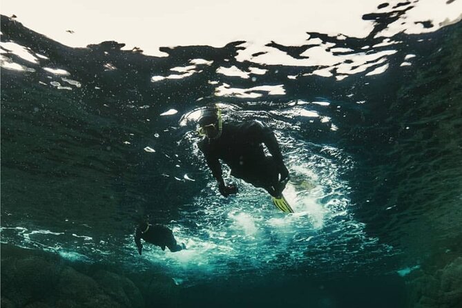 Family Snorkeling Tour - All Snorkeling Equipment Included, and Why That’s a Big Deal
