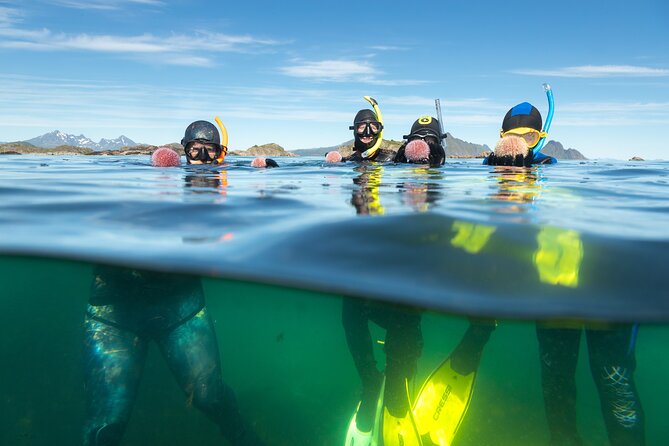 Family Snorkeling Tour - The 3-Hour Plan: From Øyaveien 31 to Lofoten Island and Back
