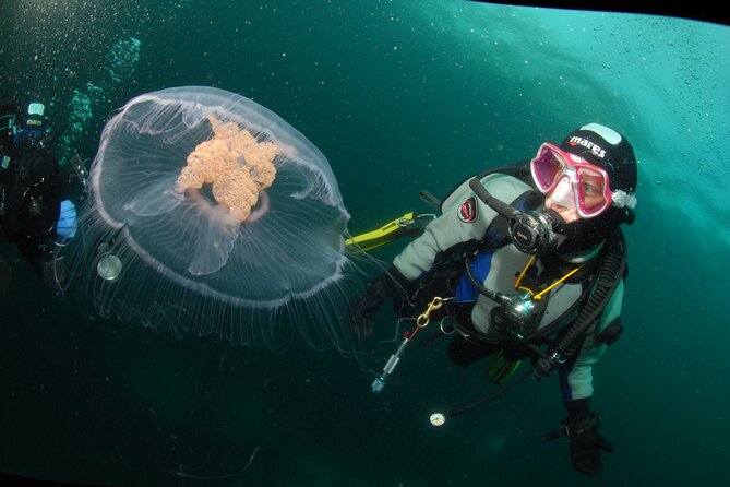 First Time Diver Scuba Experience - Where You Start in Ballstad and Why It Matters
