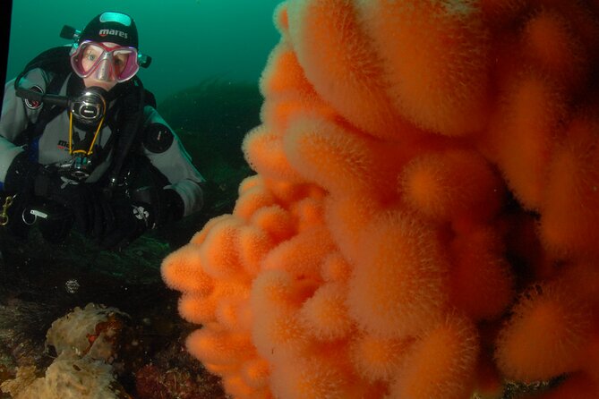 First Time Diver Scuba Experience - What the Small Group Size Really Changes
