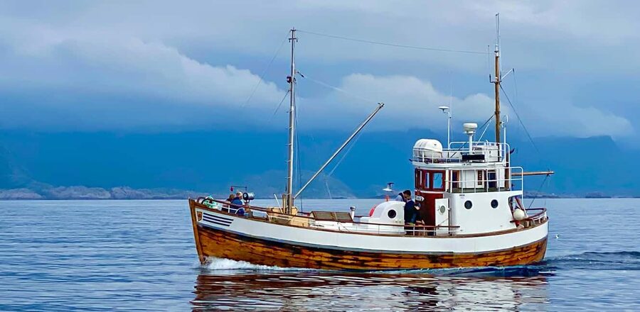 Fishing trip from Henningsvær + free (self caught) fish soup - Henningsvær fishing culture, from Viking reasons to your lunch