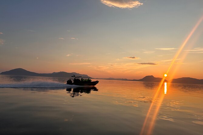 Fjord and Sea Eagle Safari from Sortland - Who this safari suits best in Sortland