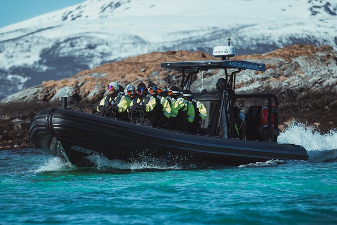 Fjord and Sea Eagle Safari from Sortland - Stop 1 in Sortlandsundet: fjords, guidance, and the sea eagle calling plan