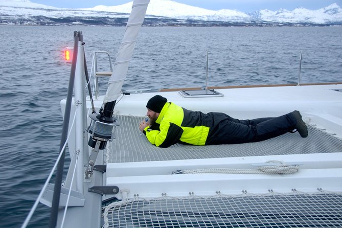 Fjord Cruise with Luxury Catamaran in Tromso - Food that makes the boat trip feel worth it: lunch, warm fish soup, and hot drinks