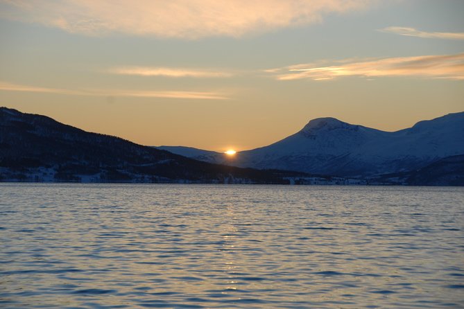 Fjord Cruise with Luxury Catamaran in Tromso - Skipper Per and the local guide approach: stories, professionalism, and hands-on help