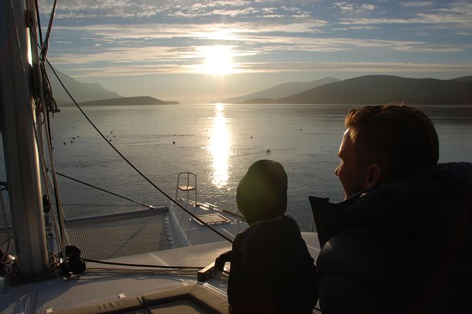 Fjord Cruise with Luxury Catamaran in Tromso - Price and value: what you get for $214.22 per person