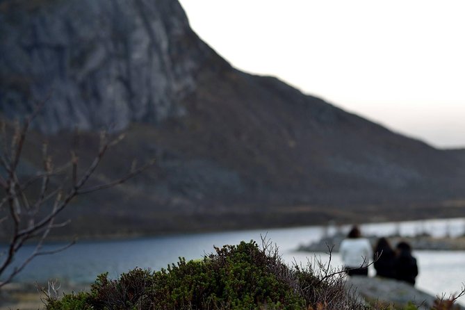 Fjord Expedition: Arctic Adventure Awaits - Stop 1: Tromsø Fjords for Snowy Scenery and Wildlife Chances